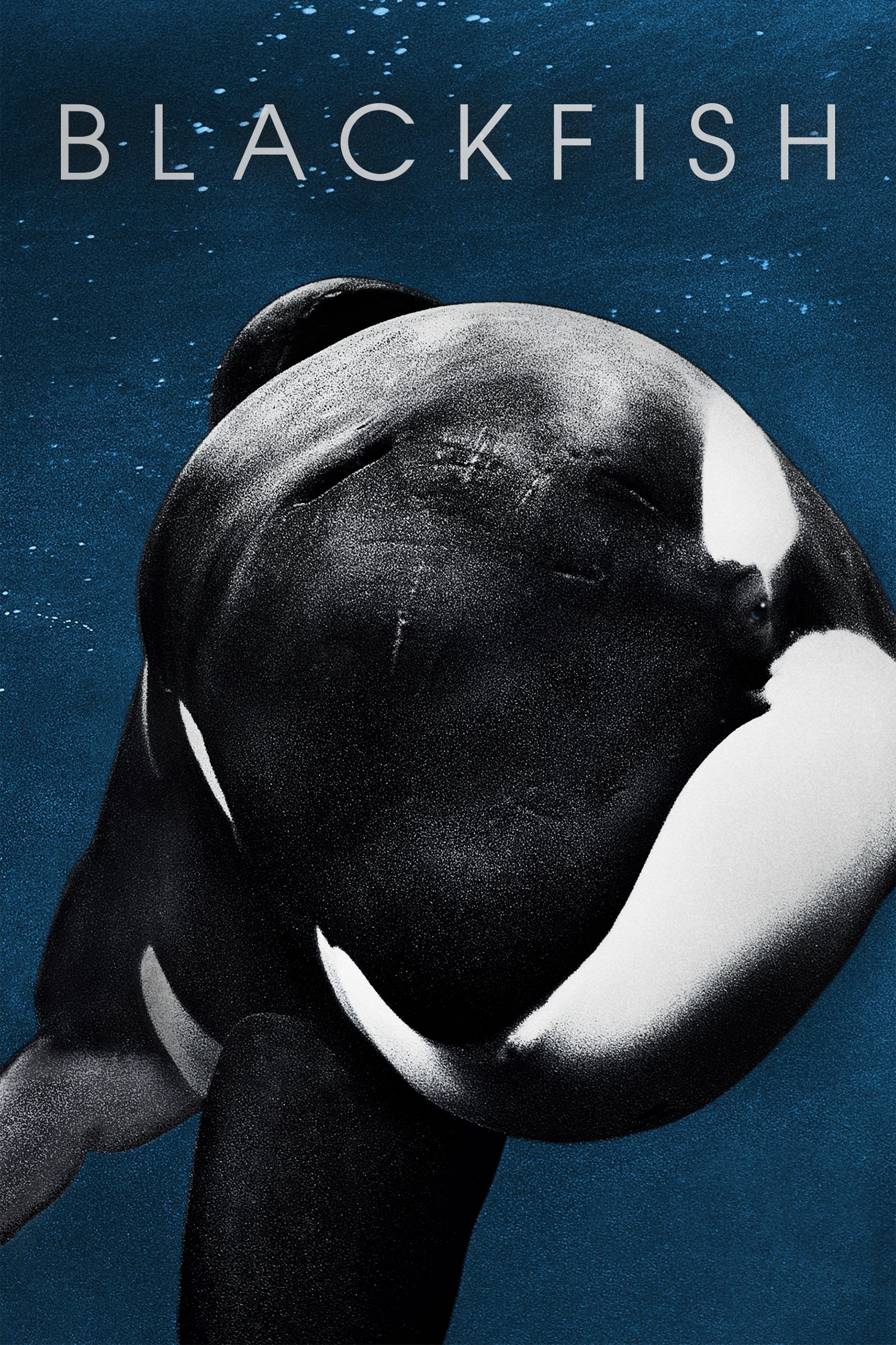 Blackfish (2013) [469733] (A1767019758) [[Movies]] --Plex--